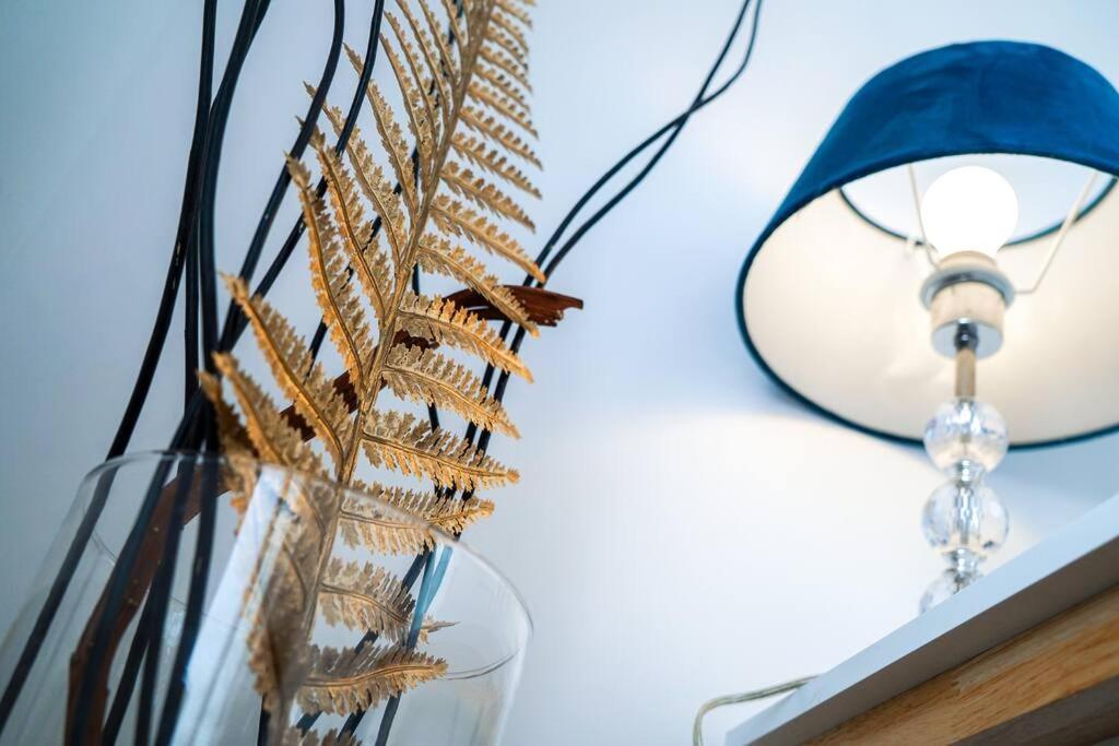 Le Voltaire • Proche Gare • Moderne Villa Chateauroux Ngoại thất bức ảnh